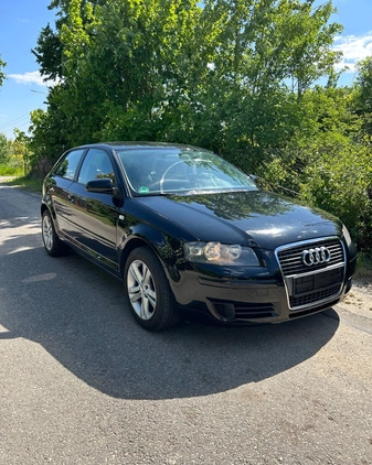 Audi A3 cena 12900 przebieg: 230000, rok produkcji 2007 z Tczew małe 29
